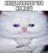 когда говорят что не мыш 