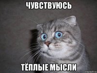 чувствуюсь тёплые мысли