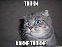 тапки какие тапки?