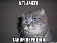 а ты чего такой нервный