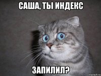 саша, ты индекс запилил?