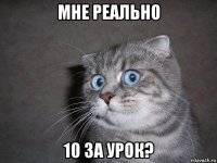 мне реально 10 за урок?