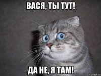 вася, ты тут! да не, я там!