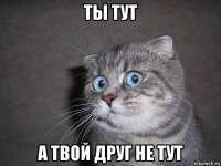 ты тут а твой друг не тут