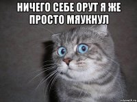 ничего себе орут я же просто мяукнул 