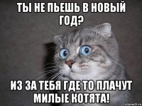 ты не пьешь в новый год? из за тебя где то плачут милые котята!