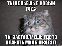 ты не пьешь в новый год? ты заставляешь где то плакать милых котят!