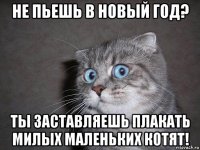 не пьешь в новый год? ты заставляешь плакать милых маленьких котят!