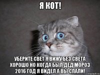 я кот! уберите свет я вижу без света хорошо но когда был дед мороз 2016 год я видел а вы спали!