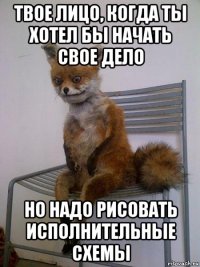 твое лицо, когда ты хотел бы начать свое дело но надо рисовать исполнительные схемы