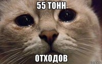 55 тонн отходов