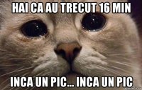 hai ca au trecut 16 min inca un pic... inca un pic