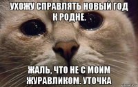 ухожу справлять новый год к родне. жаль, что не с моим журавликом. уточка