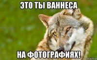 это ты ваннеса на фотографиях!