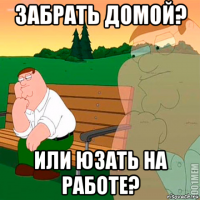 забрать домой? или юзать на работе?