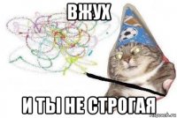 вжух и ты не строгая