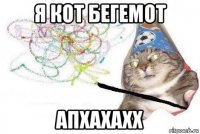 я кот бегемот апхахахх