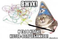 вжух! и ты в клане котов-волшебников!