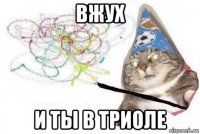 вжух и ты в триоле