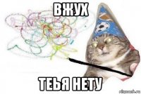 вжух теья нету