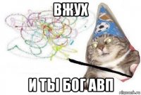 вжух и ты бог авп