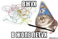 вжух в жопе петух