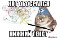 кот обосрался нижний текст