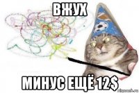 вжух минус ещё 12$