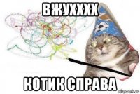 вжухххх котик справа