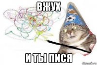 вжух и ты пися