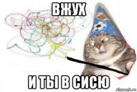 вжух и ты в сисю