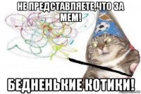 не представляете,что за мем! бедненькие котики!