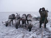 Создать мем 11