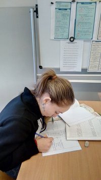 Создать мем Альбина на уроке