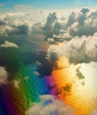 Создать мем Цветное море