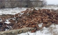 Создать мем Дохло