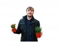 Создать мем Два кактуса