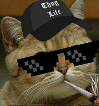 Создать мем Гангста рыжий кот