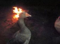 Создать мем Goose