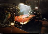 Создать мем Гунная конкуренция vs территориальная конкуренция