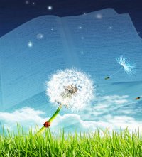 Создать мем Книга