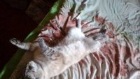 Создать мем Когда пришел с пьянки