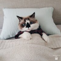 Создать мем Подарок