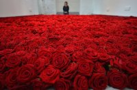 Создать мем Розыы