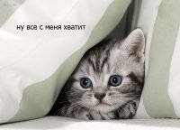 Создать мем С меня хватит