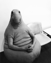 Создать мем Seal