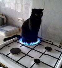 Создать мем Умер