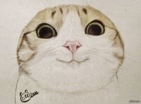 Создать мем Здратути