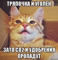 тряпочка и уголек зато со2 и удобрения пропадут