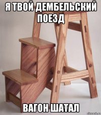 я твой дембельский поезд вагон шатал
